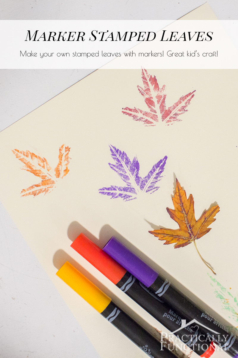 How To Stamp With Real Leaves And Markers – Practically Functional